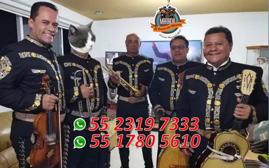 Integrantes de Mariachi El Color de México con sus instrumentos
